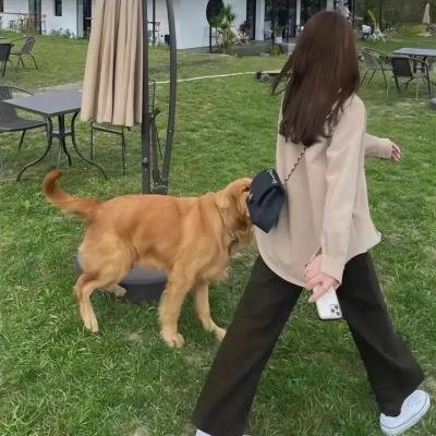 潘多拉:被操纵的乐园
